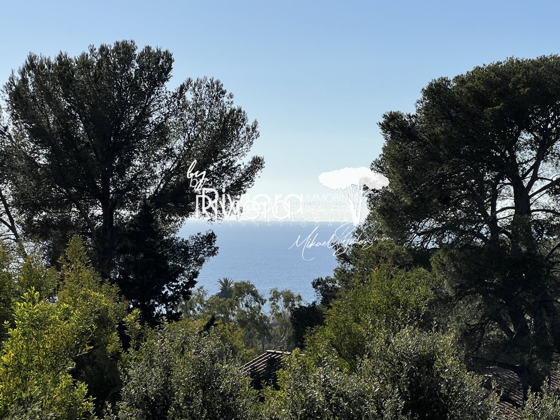 Estate in La Croix-Valmer, Provence-Alpes-Côte d'Azur, France 3 - 15389750