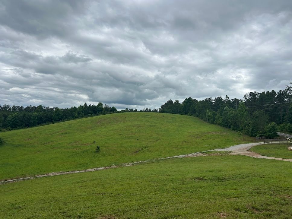 House in Bowdon, Georgia, United States 5 - 18235700