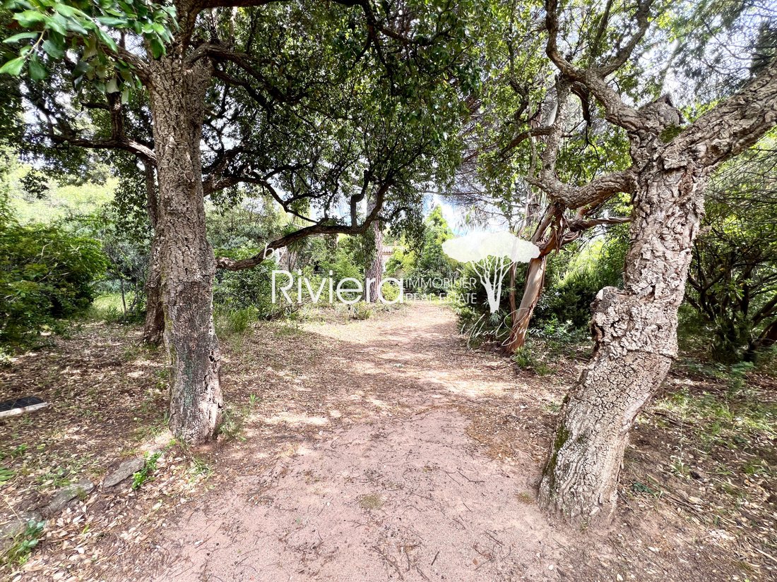 Villa in Gassin, Provence-Alpes-Côte d'Azur, France 5 - 18005836