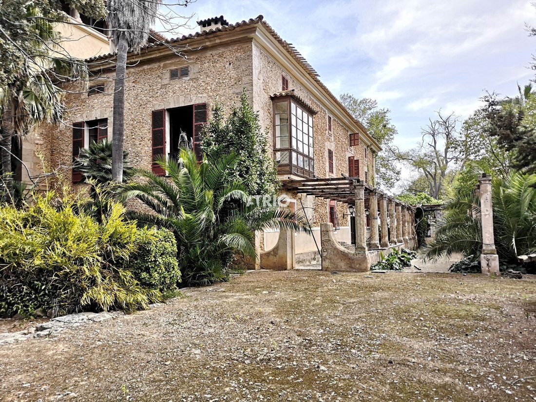 Chalet in Palma, Balearic Islands, Spain 3 - 18242613