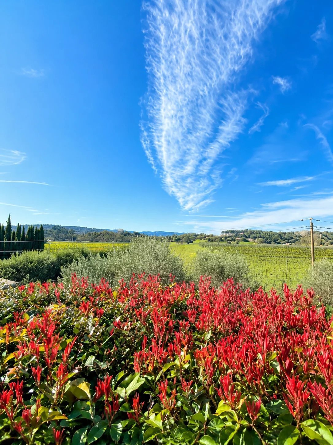 Villa in Cotignac, Provence-Alpes-Côte d'Azur, France 3 - 18239061