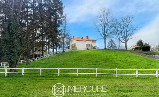 House in Vieux Pont du Château, Pont-du-Chateau, France 1