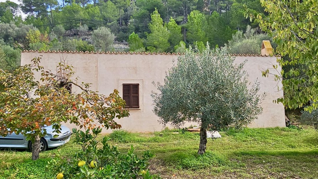 Land in s'Arraco, Andratx, Balearic Islands 4 - 18241818