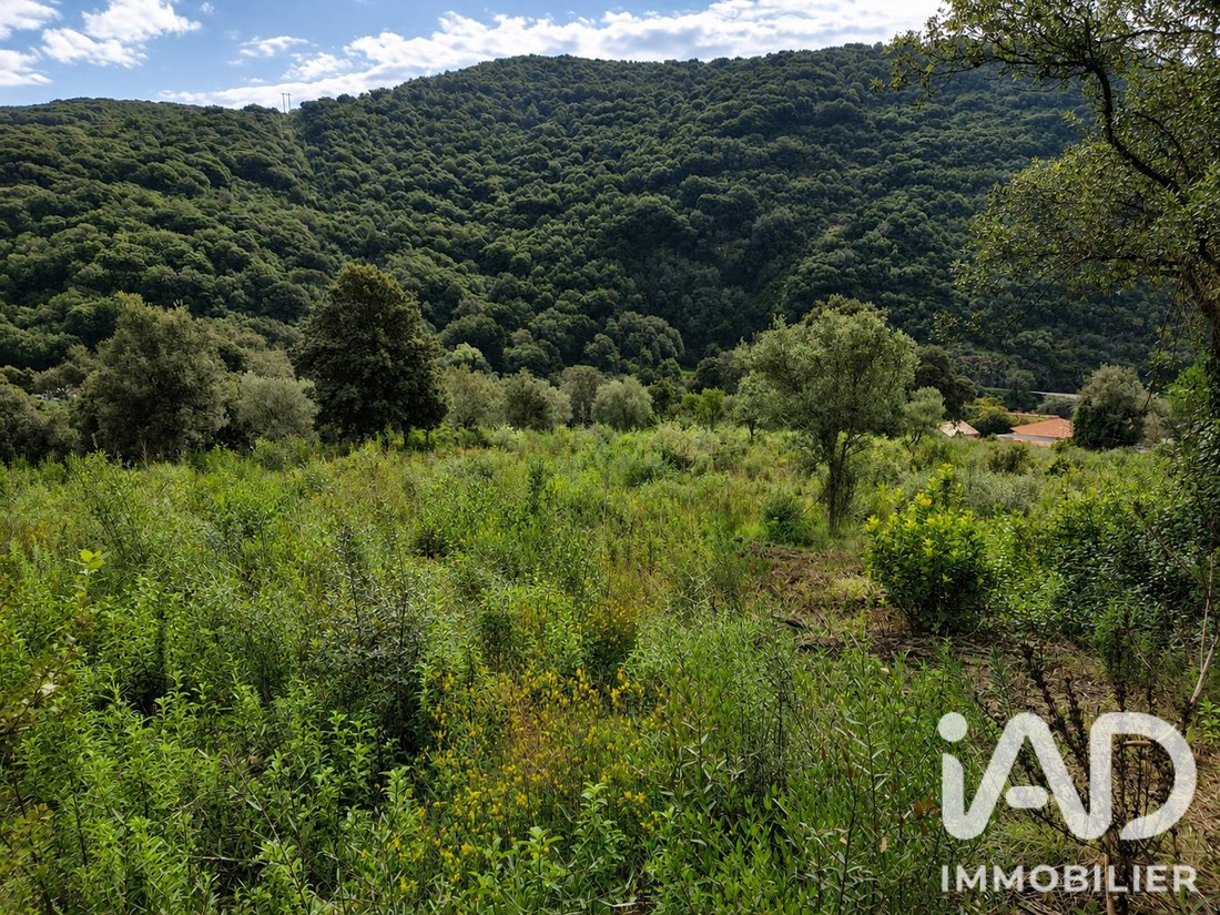 Land in Ocana, Corsica, France 1 - 18247061