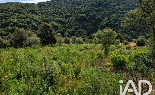 Land in Ocana, Corsica, France 1