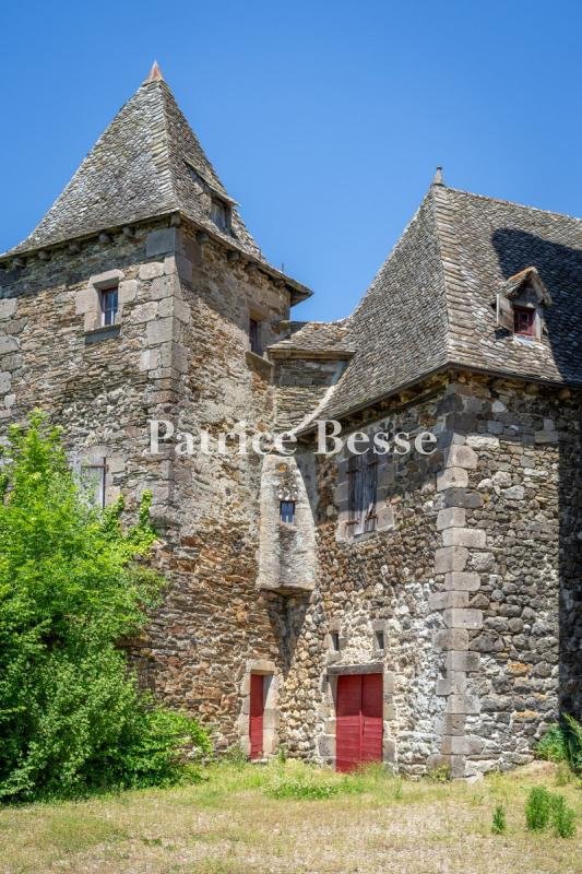 Castle in Vic-sur-Cere, Auvergne-Rhône-Alpes, France 4 - 18242127