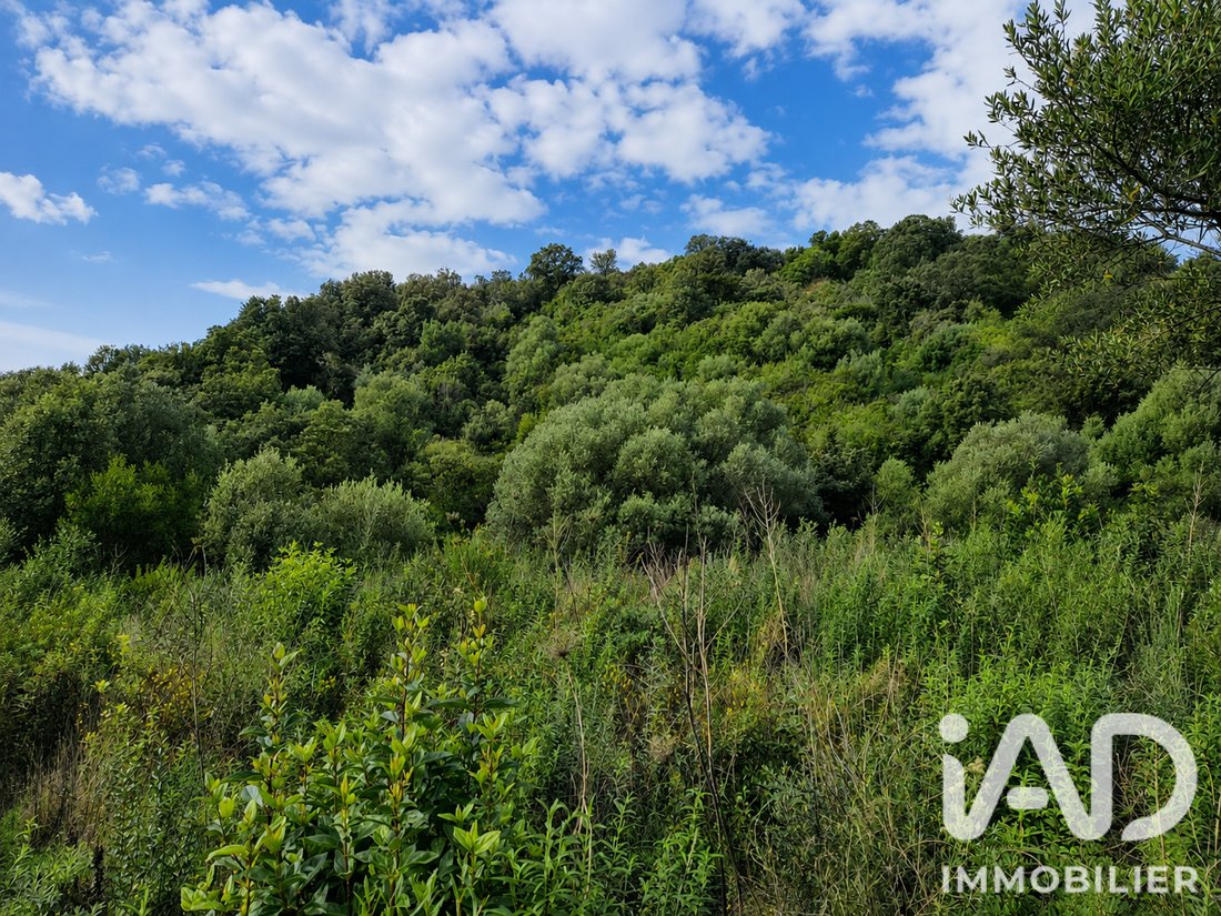 Land in Ocana, Corsica, France 2 - 18247061