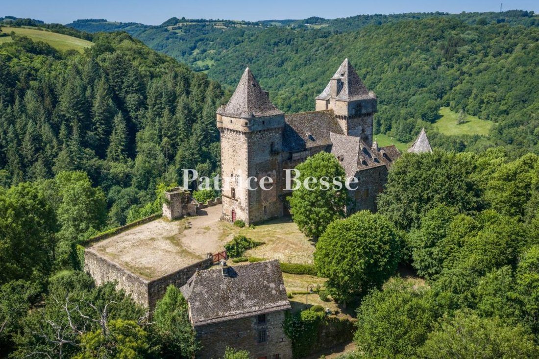 Castle in Vic-sur-Cere, Auvergne-Rhône-Alpes, France 3 - 18242127