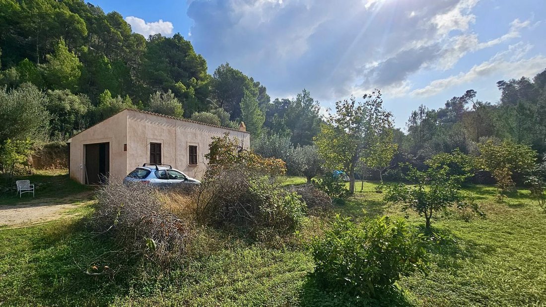 Land in s'Arraco, Andratx, Balearic Islands 2 - 18241818