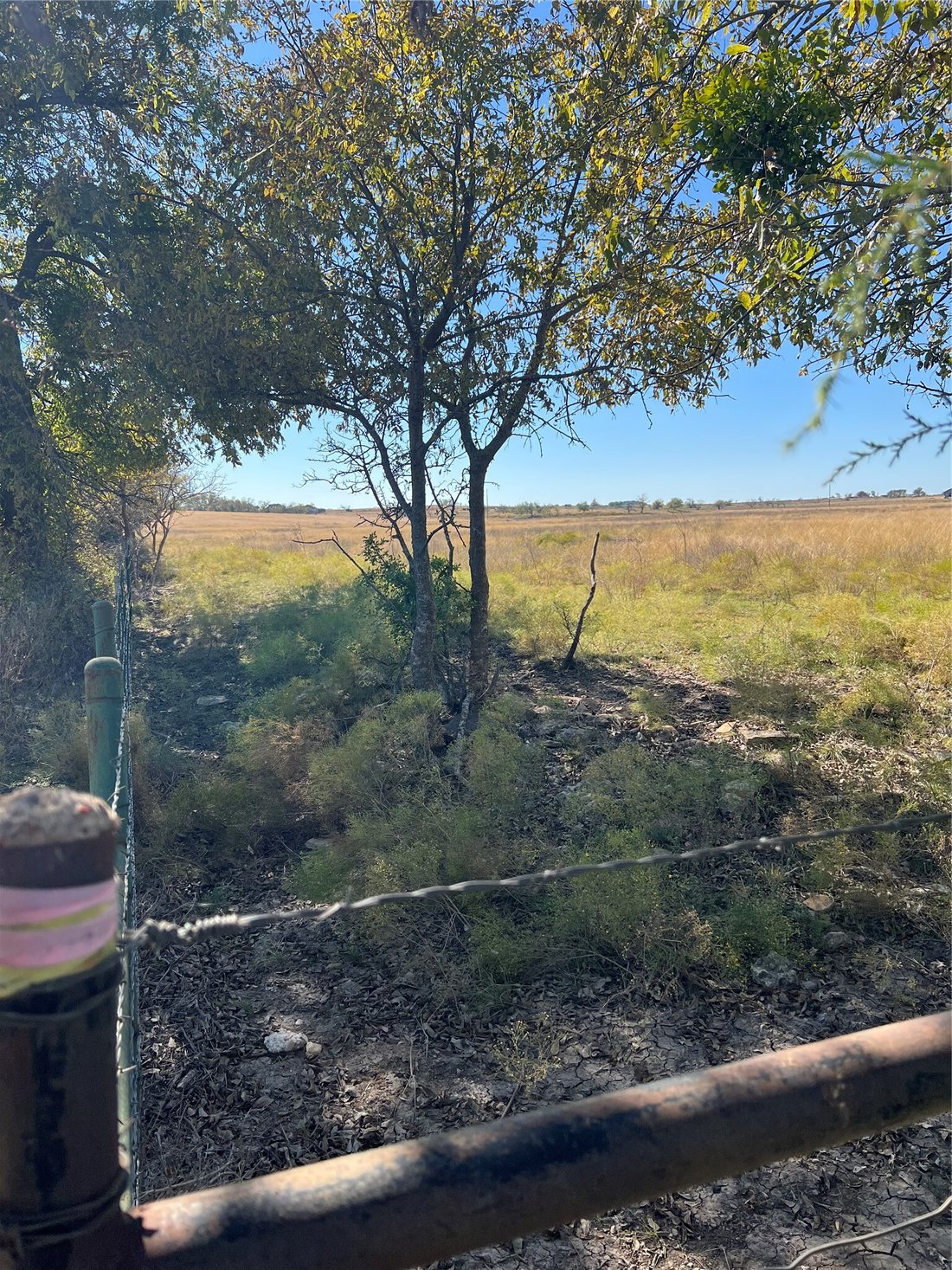 Farm Ranch in The Grove, Texas, United States 5 - 18242670