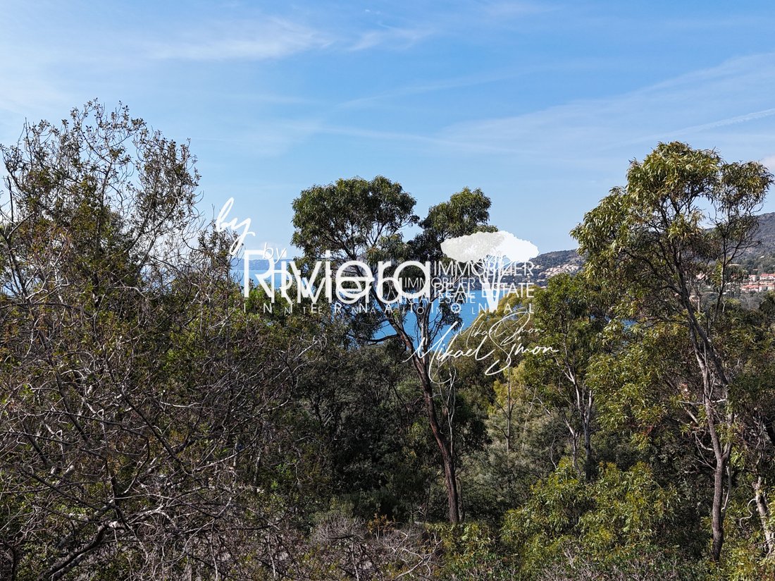 Land in Rayol-Canadel-sur-Mer, Provence-Alpes-Côte d'Azur, France 5 - 15389997