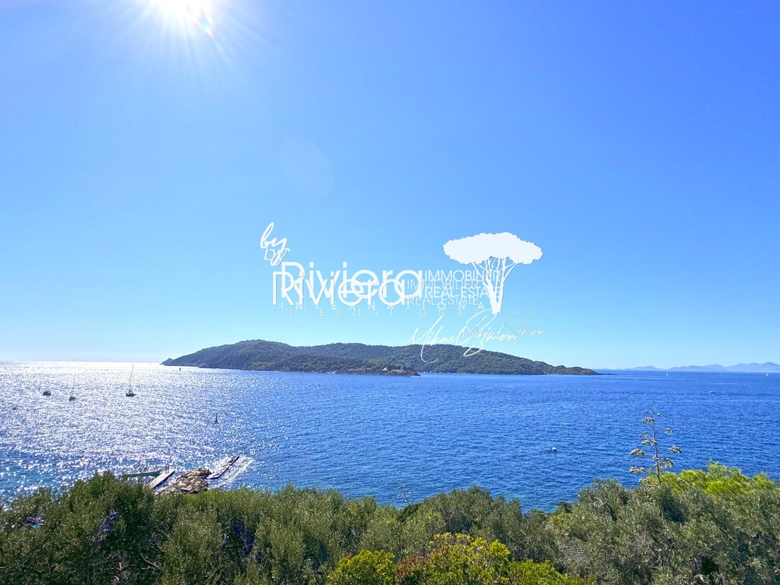 Villa in Hyeres, Provence-Alpes-Côte d'Azur, France 4 - 15390005