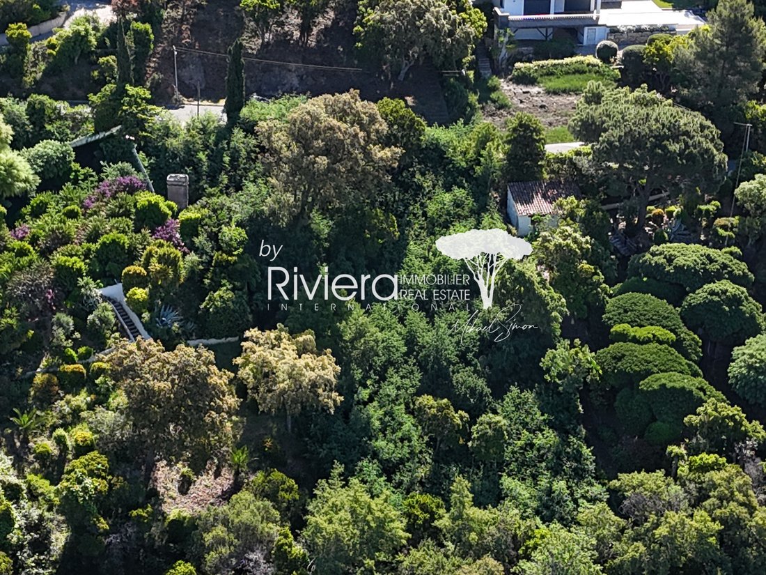 Land in La Croix-Valmer, Provence-Alpes-Côte d'Azur, France 3 - 15390226