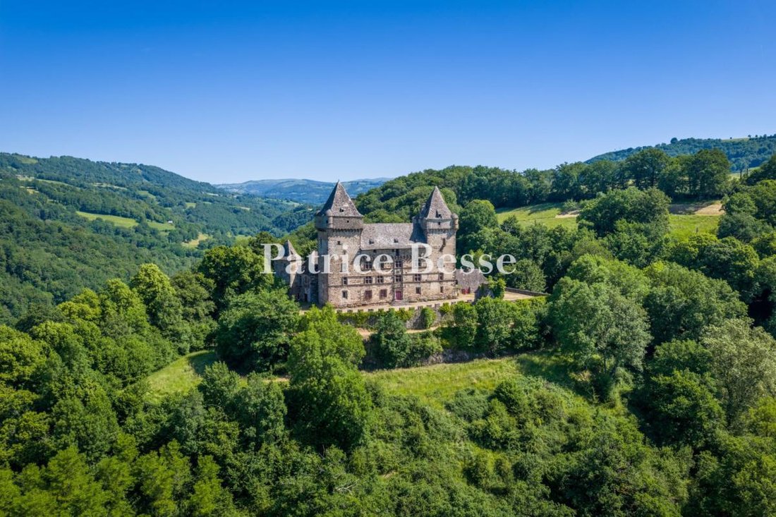 Castle in Vic-sur-Cere, Auvergne-Rhône-Alpes, France 1 - 18242127