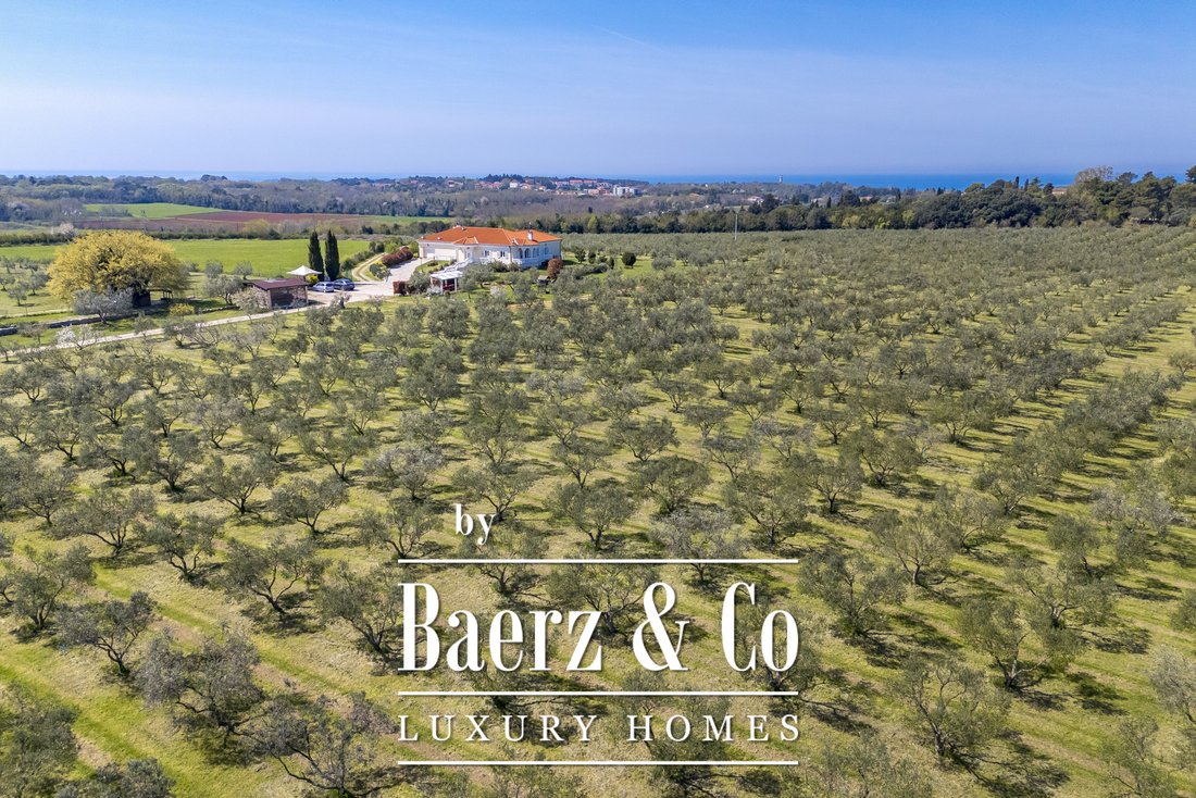 Country House in Savudrija, Istria County, Croatia 1 - 18244897