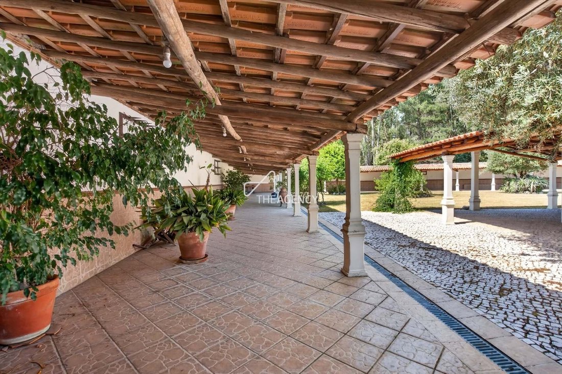 Farm Ranch in Vale da Pedra, Santarem District, Portugal 3 - 18240726