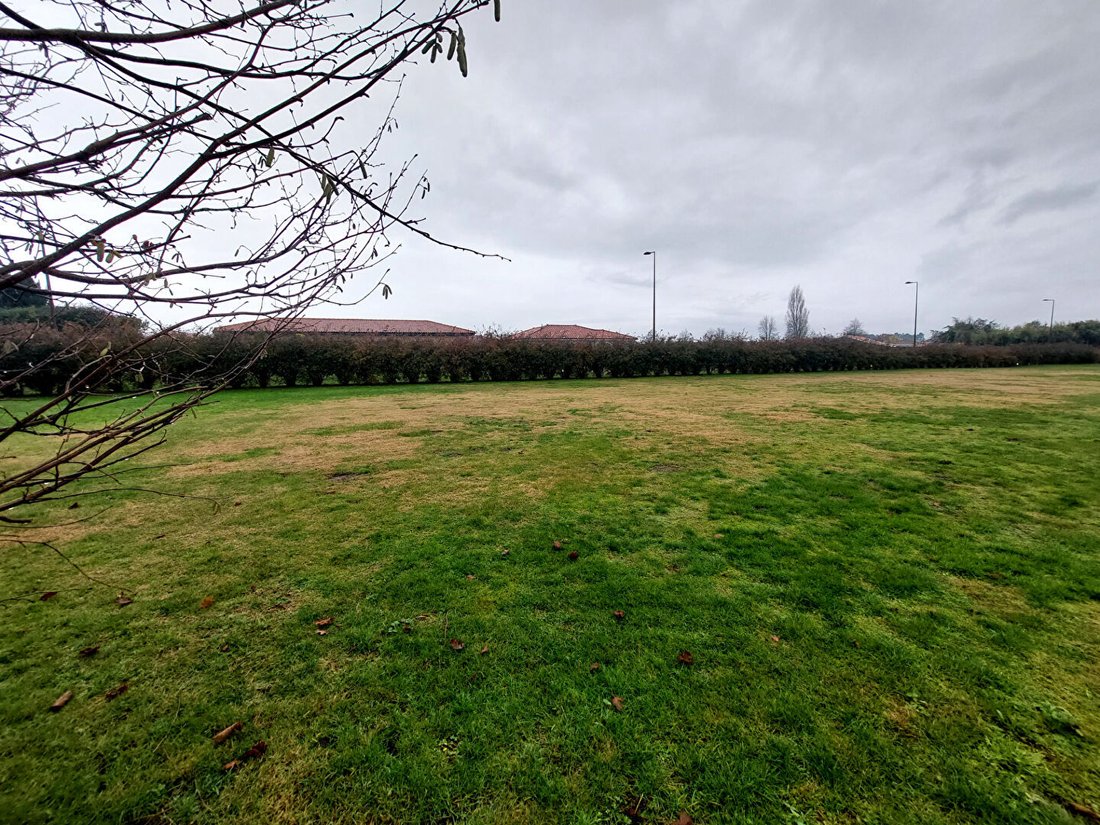 Land in Est, Soustons, Frankreich 2 - 18245985