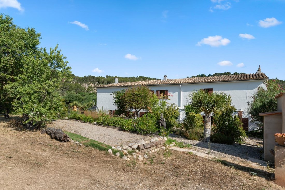 Finca in s'Arraco, Andratx, Balearic Islands 3 - 18242252