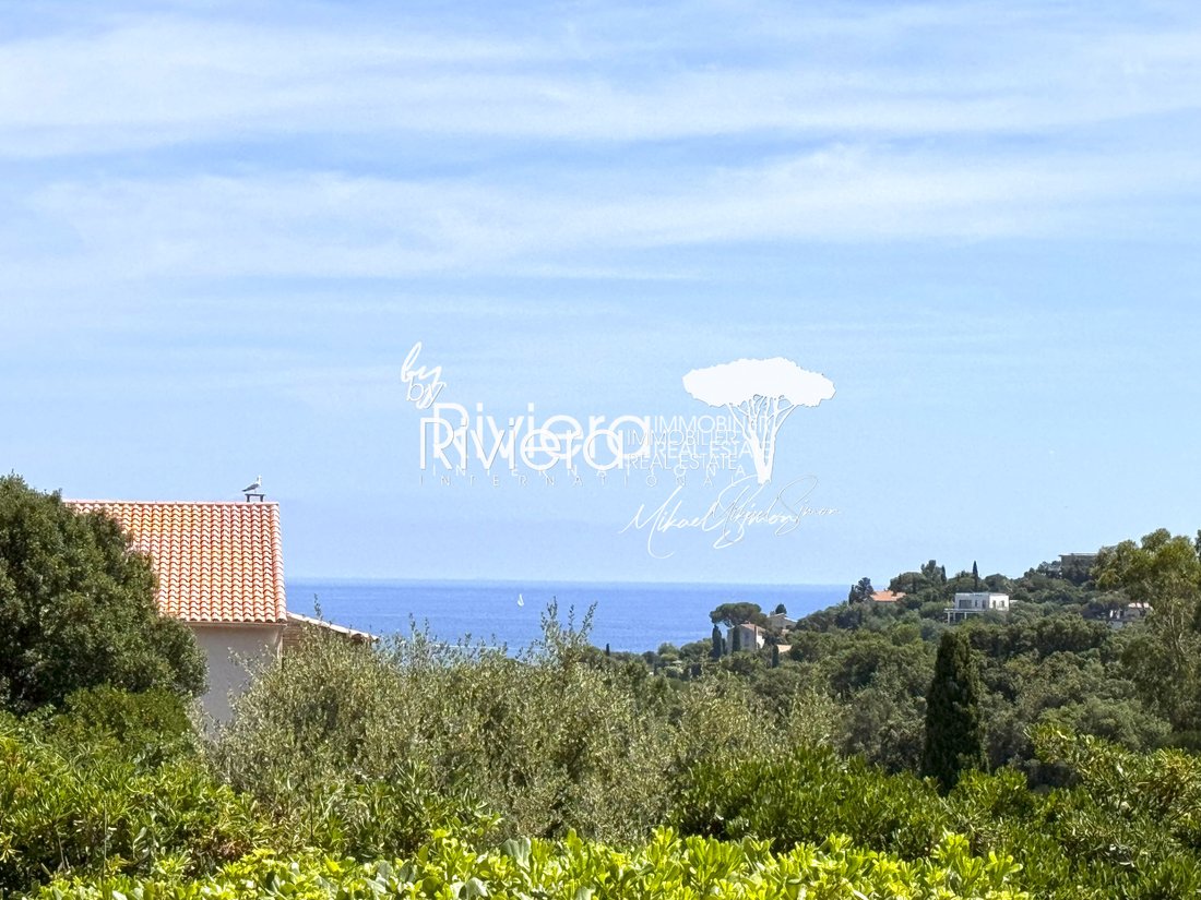 Estate in Nord, Cavalaire-sur-Mer, France 1 - 15390145