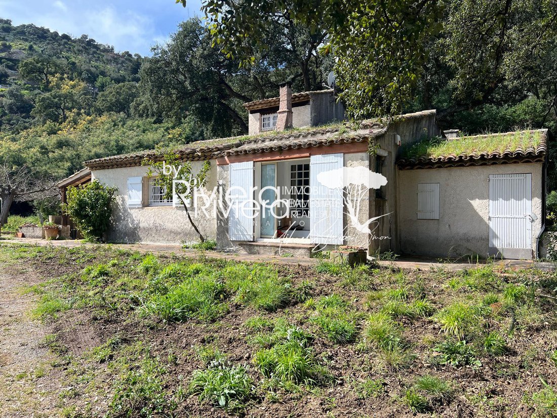 Villa in Nord, Cavalaire-sur-Mer, France 3 - 15404715