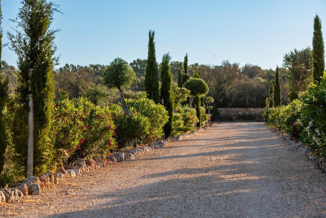 Villa in Campos, Balearic Islands, Spain 2 - 18242745