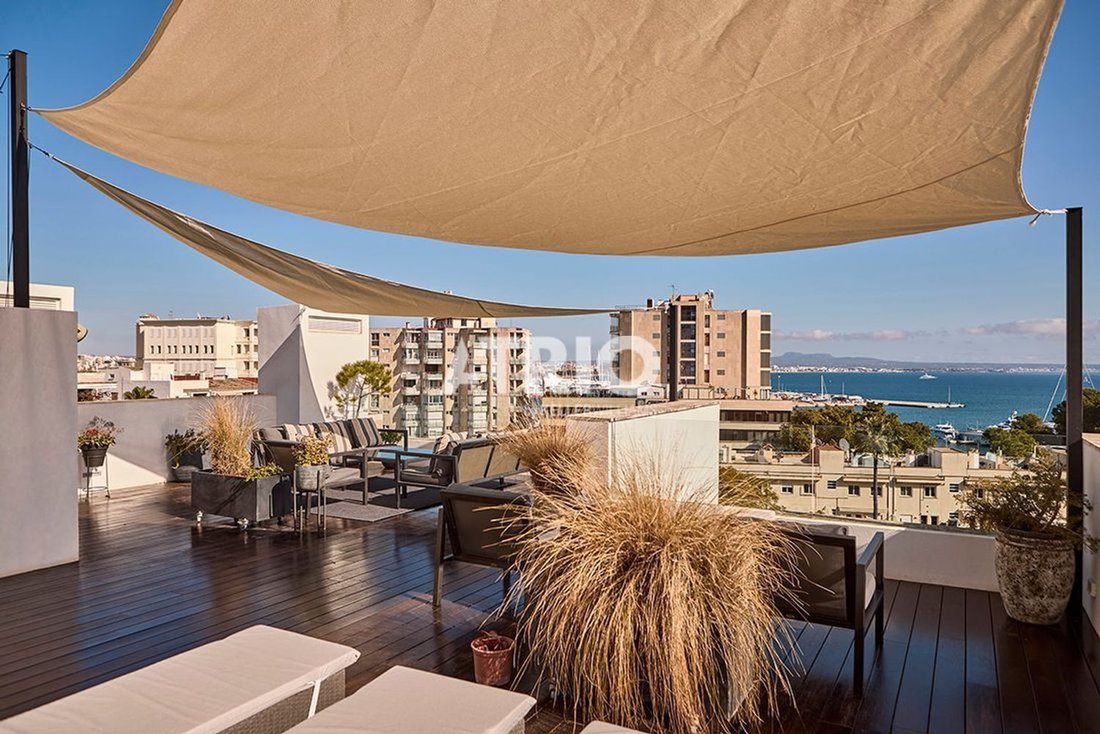 Apartment in Palma, Balearic Islands, Spain 1 - 18244482