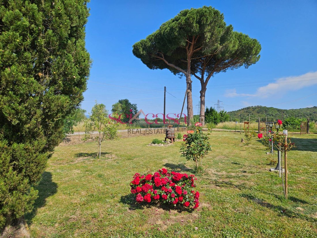 Country House in Roselle, Grosseto, Tuscany 3 - 18246467