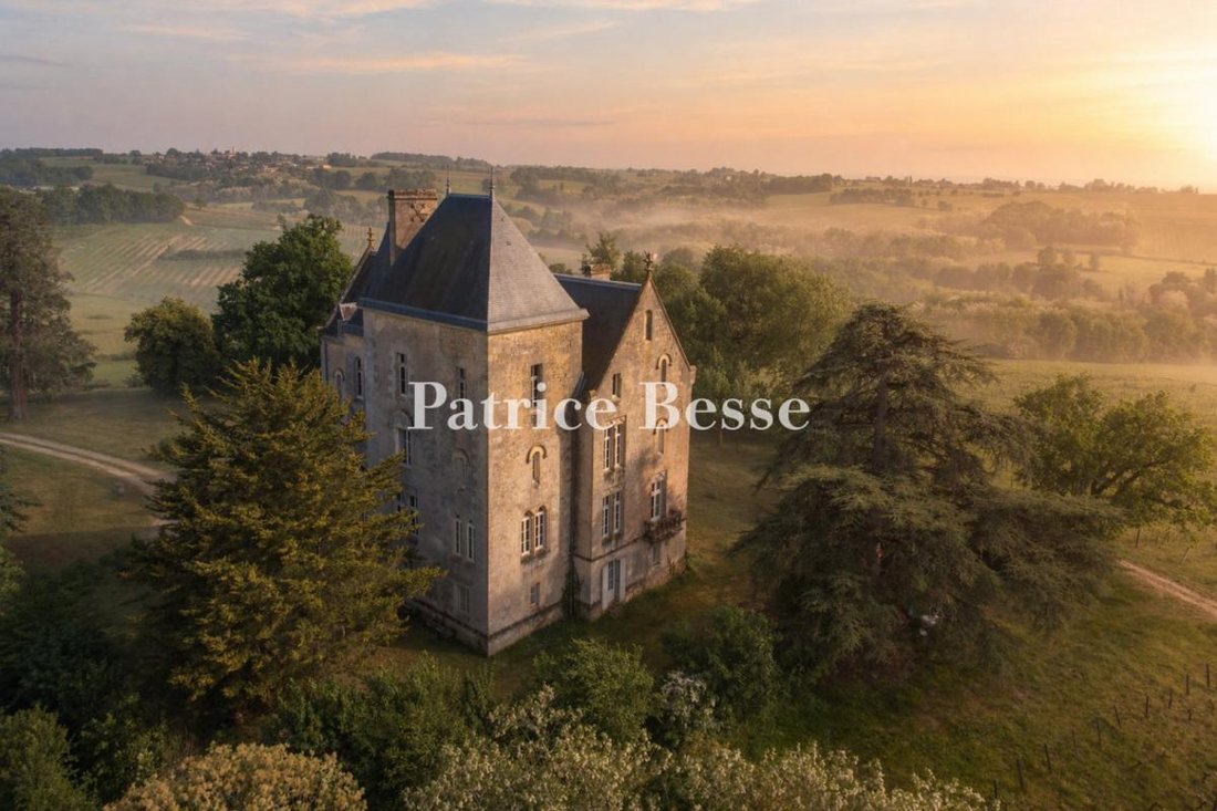 Castillo en Villenave-de-Rions, Nueva Aquitania, Francia 3 - 18242147
