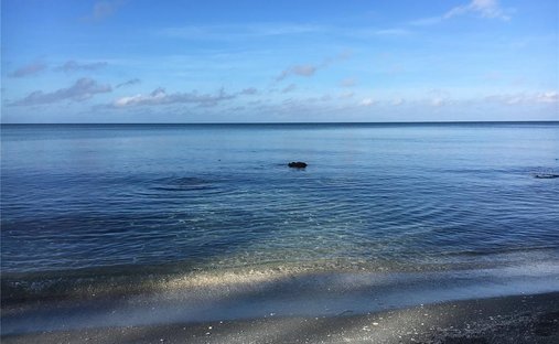 Terreno a Siesta Key, Florida, Stati Uniti 1
