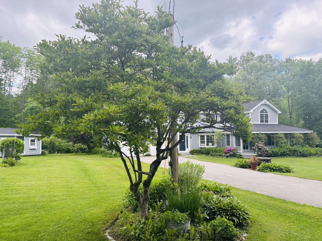 House in Winterport, Maine, United States 3 - 17941805