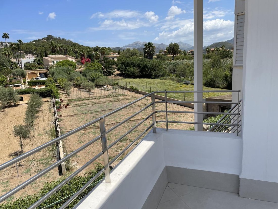 Apartment in Port d'Andratx, Andratx, Balearic Islands 3 - 18245644