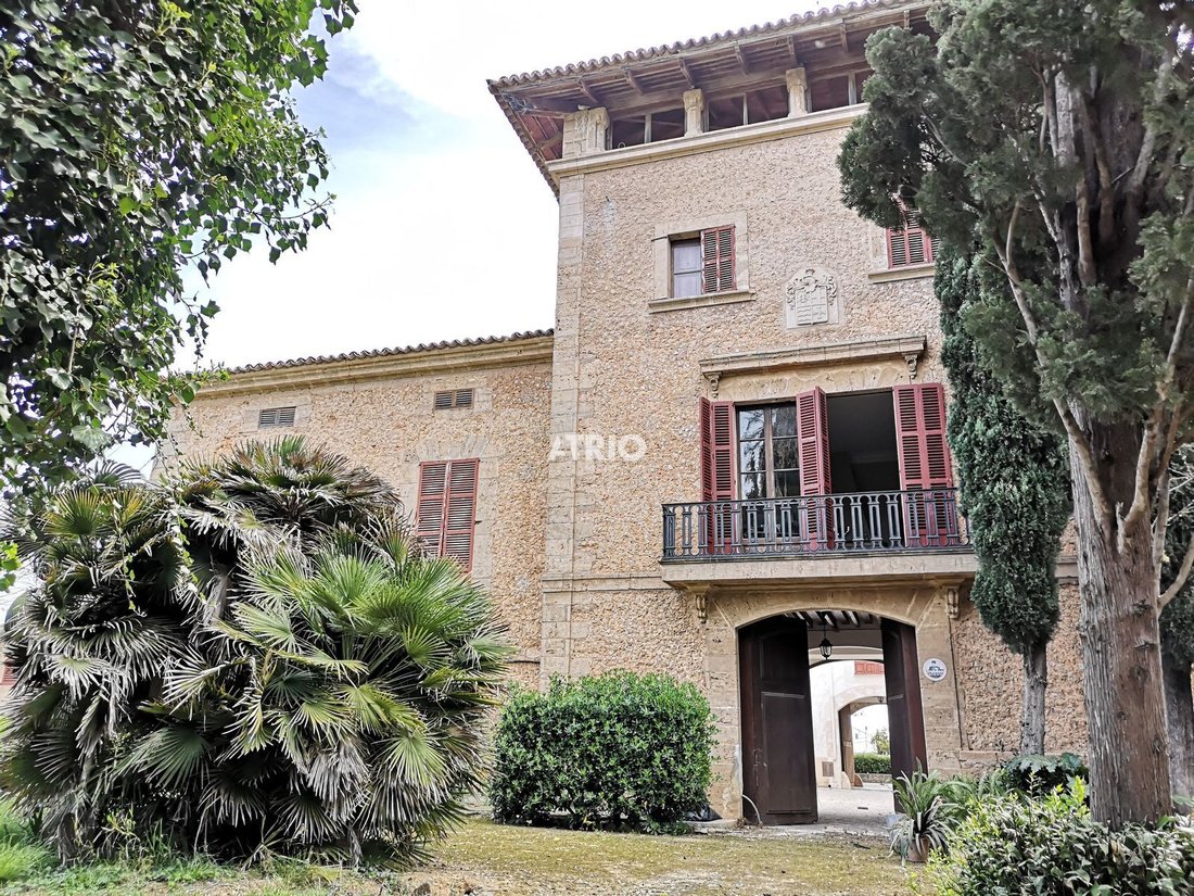 Chalet in Palma, Balearic Islands, Spain 4 - 18242613