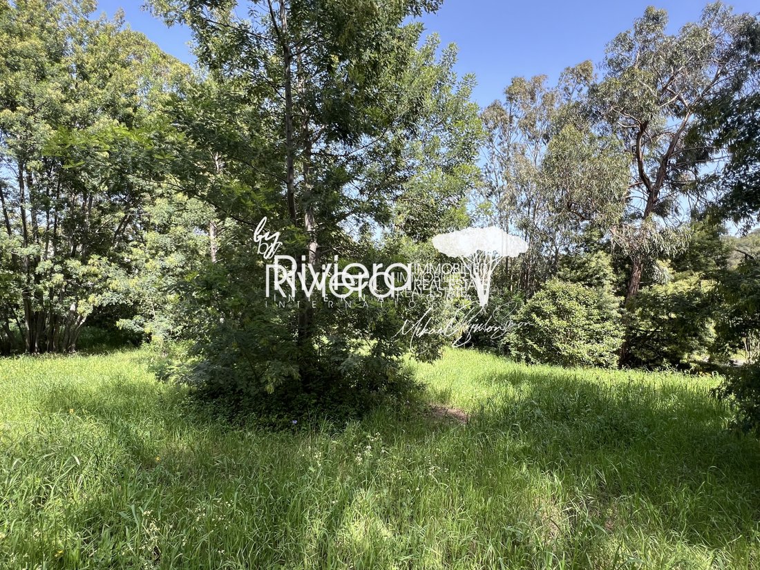 Land in La Croix-Valmer, Provence-Alpes-Côte d'Azur, France 5 - 15389428