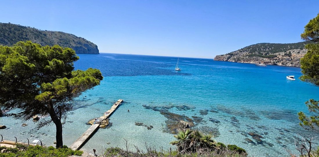 Apartment in Camp de Mar, Mallorca, Andratx, Balearic Islands 4 - 18245584