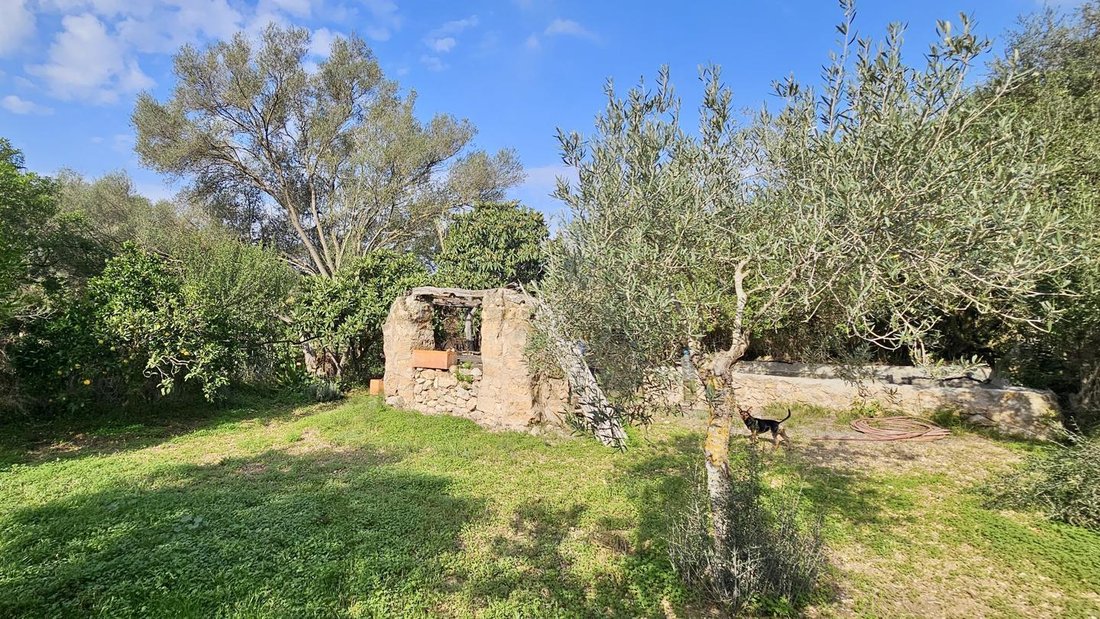 Land in s'Arraco, Andratx, Balearic Islands 1 - 18241818
