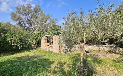Land in s'Arraco, Andratx, Balearic Islands 1