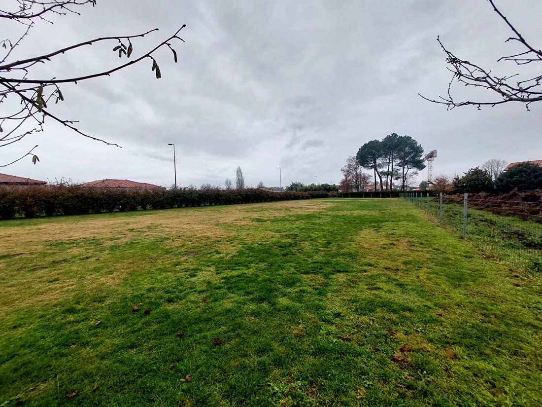 Land in Est, Soustons, Frankreich 5 - 18245985