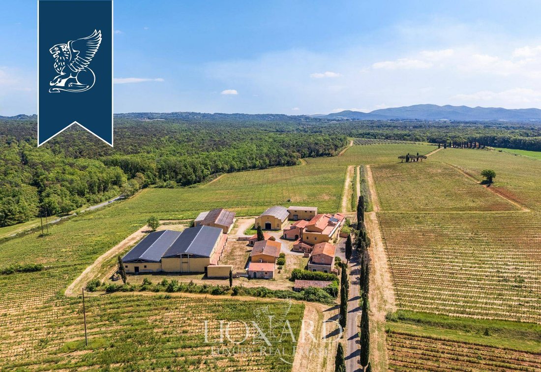 Villa in Montescudaio, Tuscany, Italy 5 - 18246061