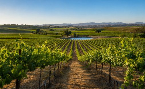Land in San Miguel, California, United States 1