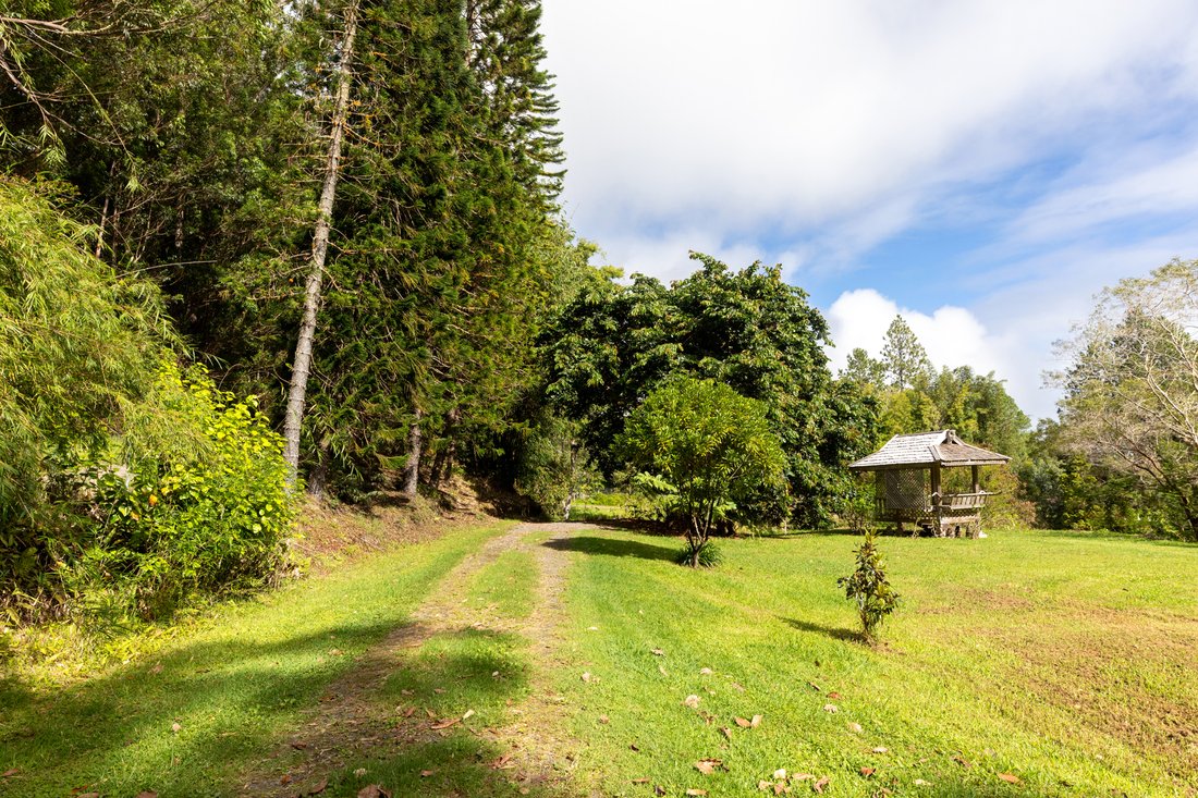 House in Honokaa, Hawaii, United States 3 - 18241438