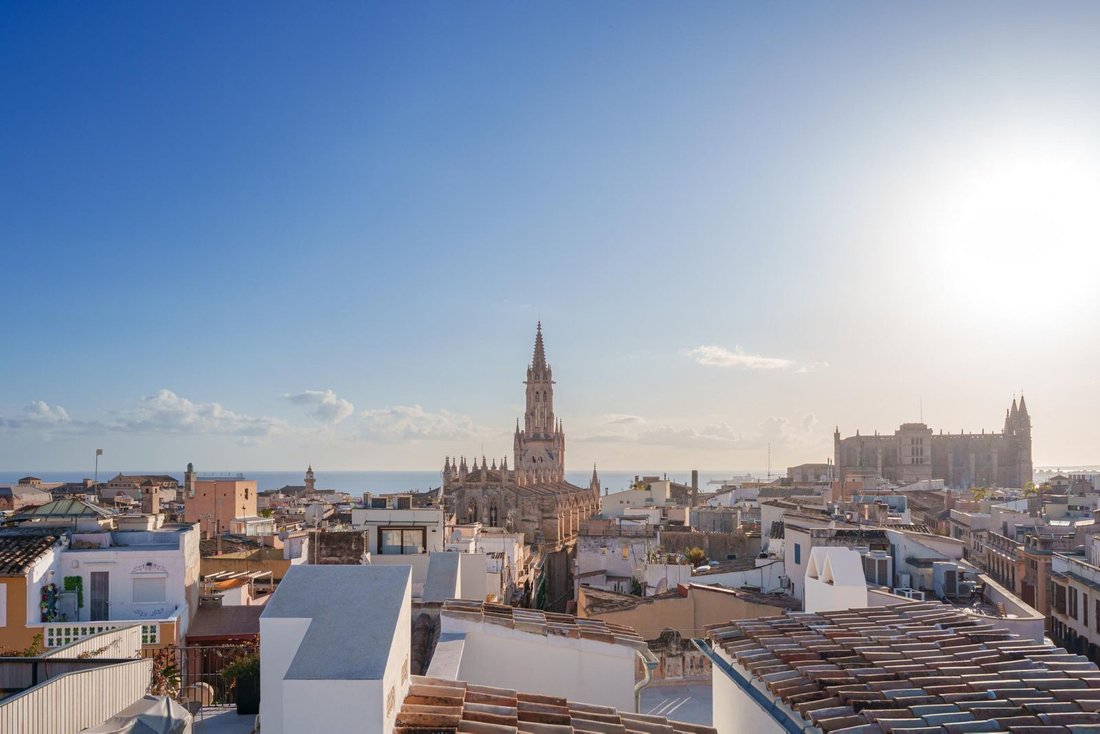 Apartment in Palma, Balearic Islands, Spain 1 - 18243068