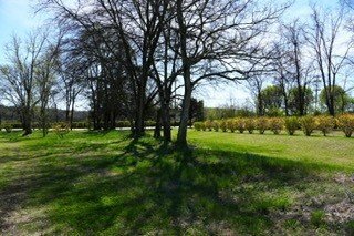 College Grove, Tennessee, United States 5 - 18243560