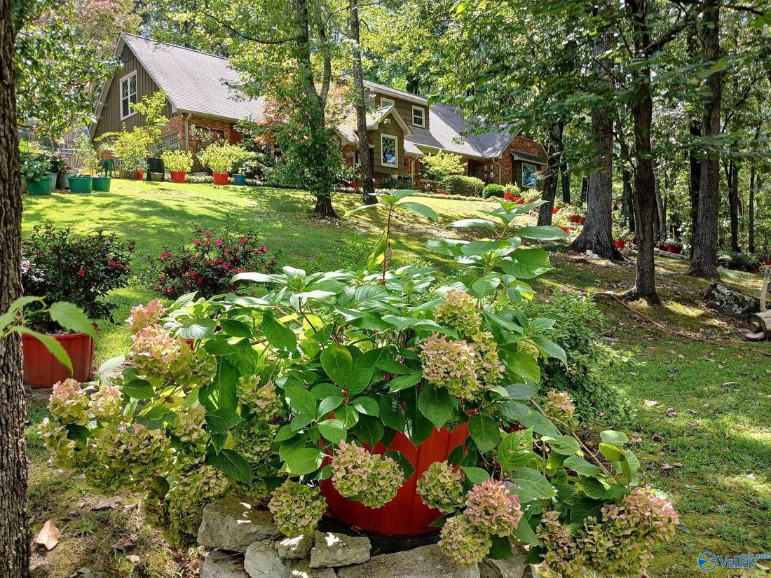 House in Decatur, Alabama, United States 3 - 17680614