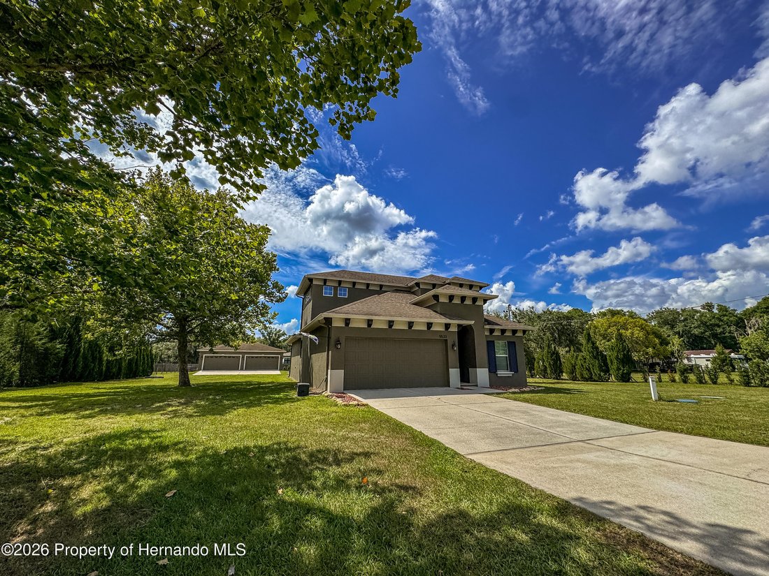 House in Land O' Lakes, Florida, United States 3 - 18235704