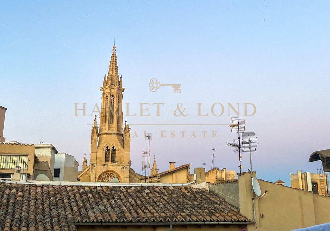 Apartment in Palma, Balearic Islands, Spain 1 - 18236273