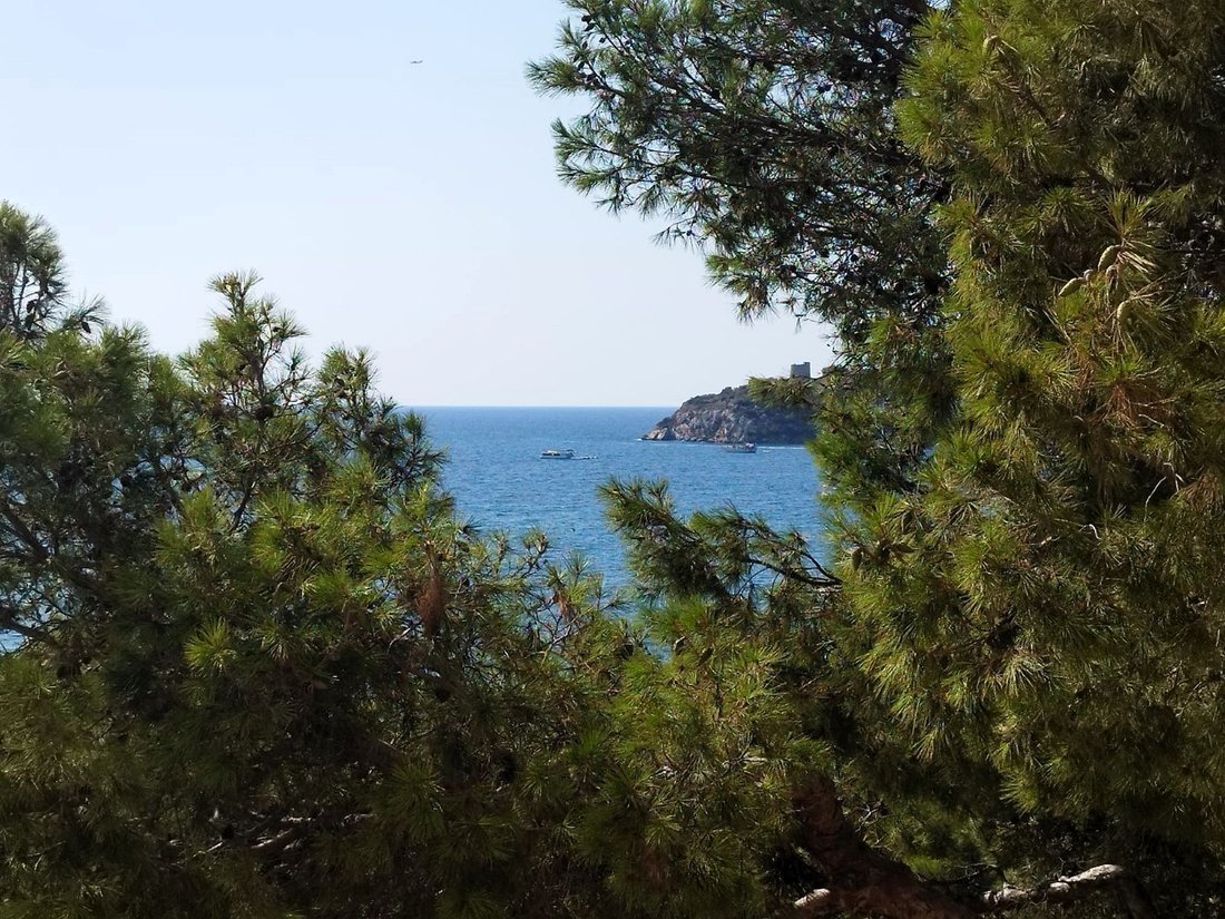 Appartement à Calvià, Îles Baléares, Espagne 3 - 18243245