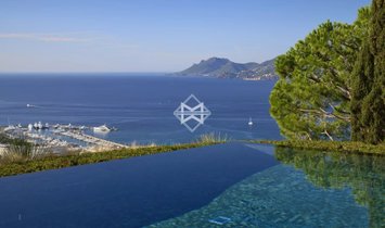 Villa in La Californie, Cannes, Frankreich 2