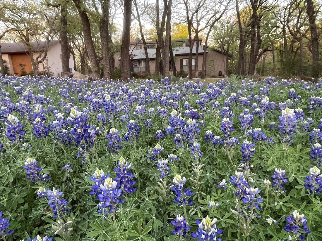 House in Lewisville, Texas, United States 2 - 18235967