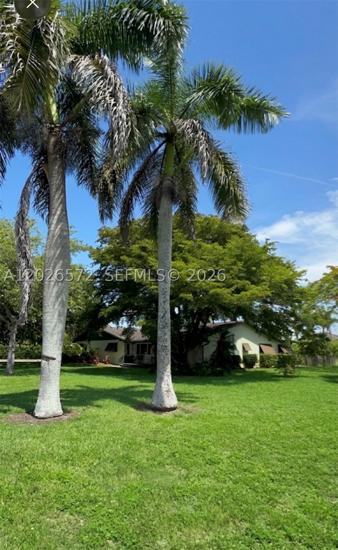 House in Homestead, Florida, United States 2 - 18049980