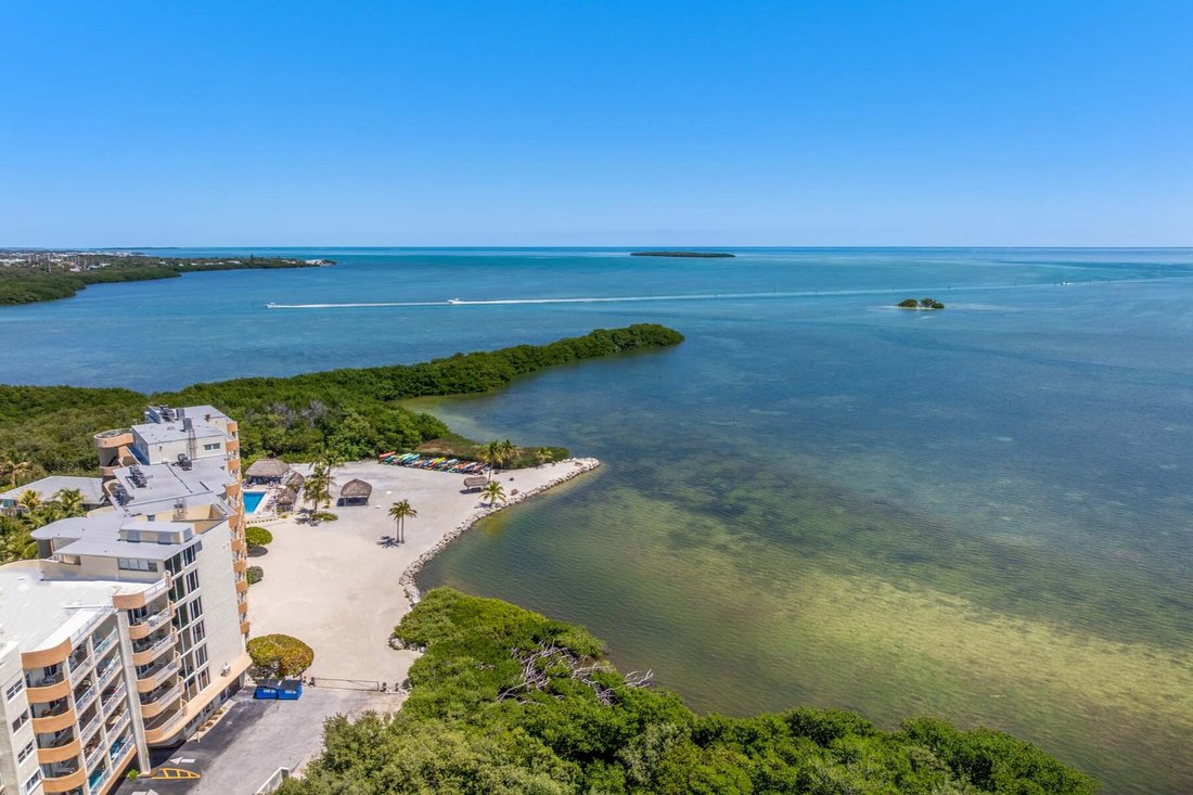 Condo in Tavernier, Florida, United States 1 - 17539174